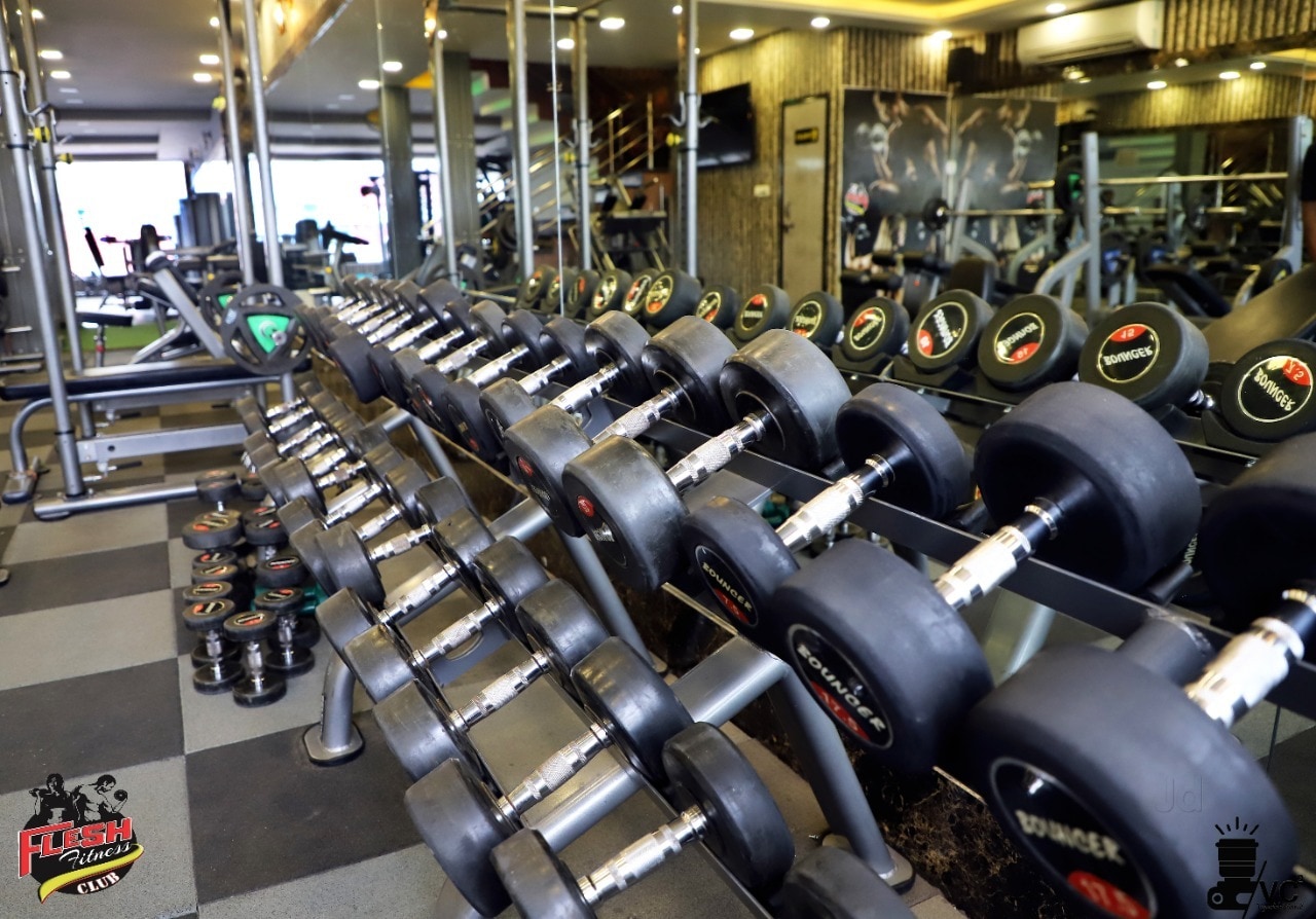 Free Weight Zone