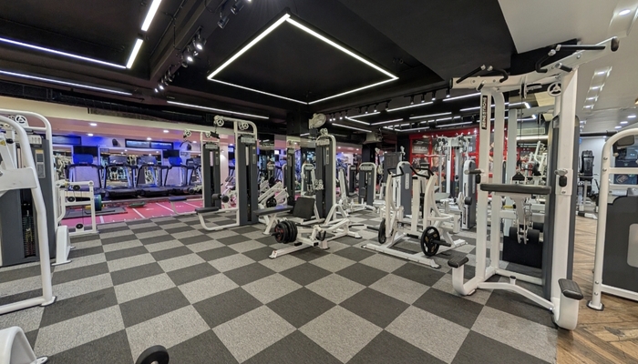 Plate-Loaded Machines